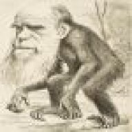 HonestJoe