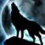 BlazingStar