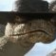The Woodsman