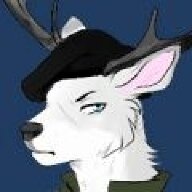 White Deer