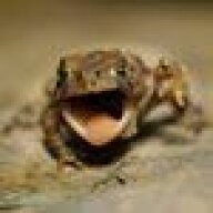 BarberToad