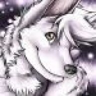 PatSilverFox