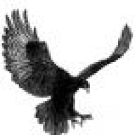 BlackEagle95
