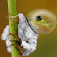 Spacefrog