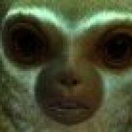 UmJammerSully