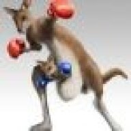 anANGRYkangaroo