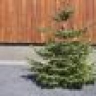 Greni