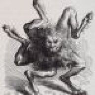 Allephus
