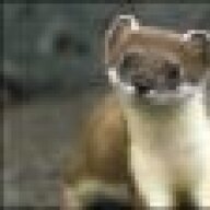 HYPNOTICSTOAT