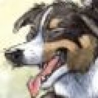 Wolfy2447