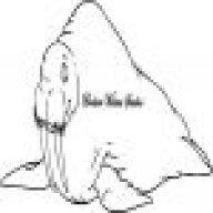 BrokenWalrusStudios