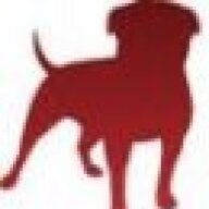 zyngainternsf