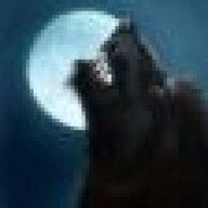 Nighteyes