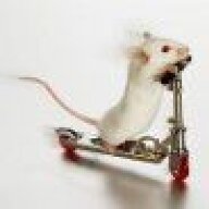 McMousey