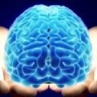 Living_Brain