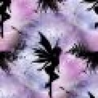 tacca17