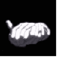 AverageExtraordinair