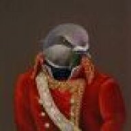 captainballsack