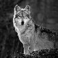 LoneWolf2056