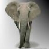 Pedantephant