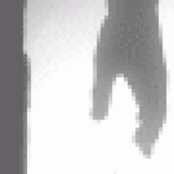 PhoenixDesire