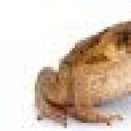 Coakle