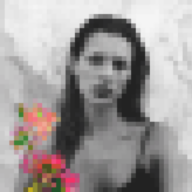 growingrose1