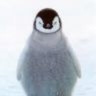 Woopate