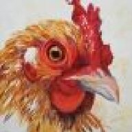 Methodia Chicken