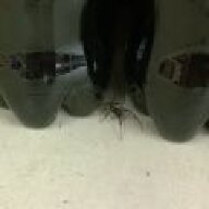 Soda Spider