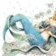 bluepolar