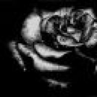 blackrose
