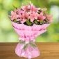 happystems