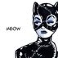 CatsNeverDie