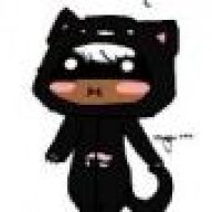 404Cat