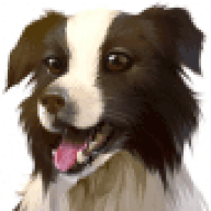 CollieDog