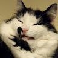 Catamander