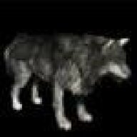 WolfThomas