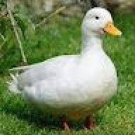 Totallyjimm