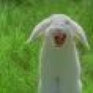 Evilbunny