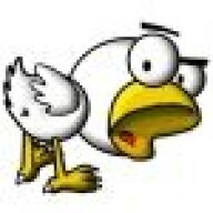 Pikka Bird