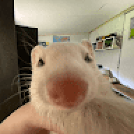 TimmyTheClover