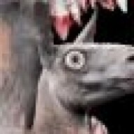 llamastorm.games