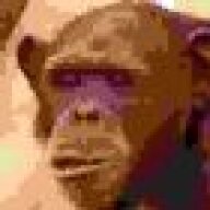Monkfish Acc.