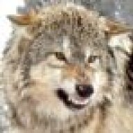 Wolfwind