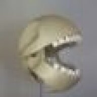 freakyHippo