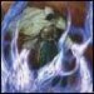 Lord_Seth