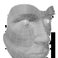 Grey_Area