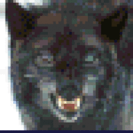 MarkusAurelius77