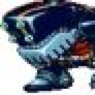 The Blue Mongoose